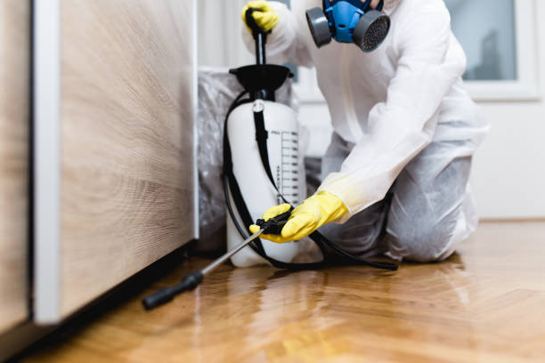 Best Pest Removal Services  in Oak Brook, IL