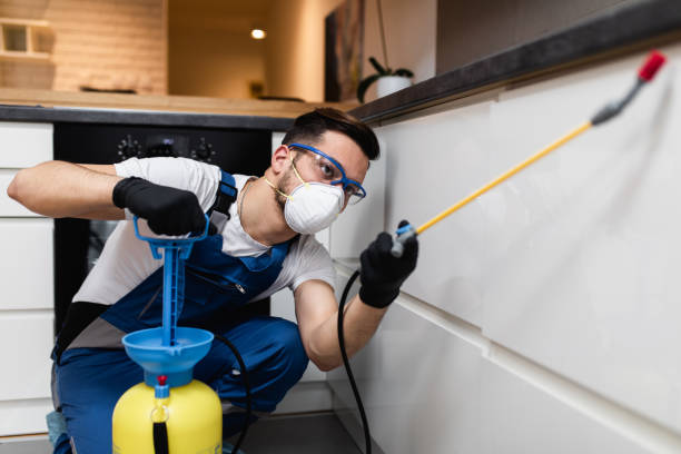 Best Pest Removal Services  in Oak Brook, IL