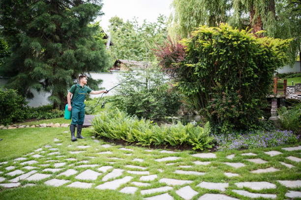 Best Best Pest Control Near Me  in Oak Brook, IL