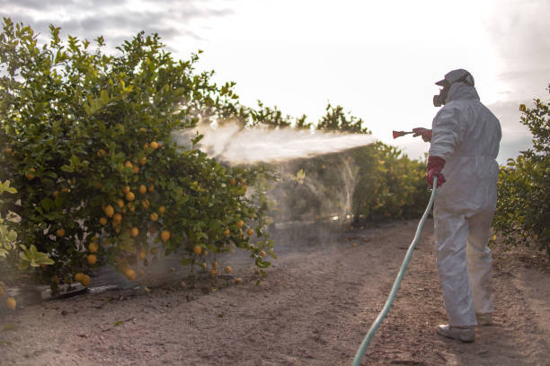 Best Affordable Pest Control Services  in Oak Brook, IL