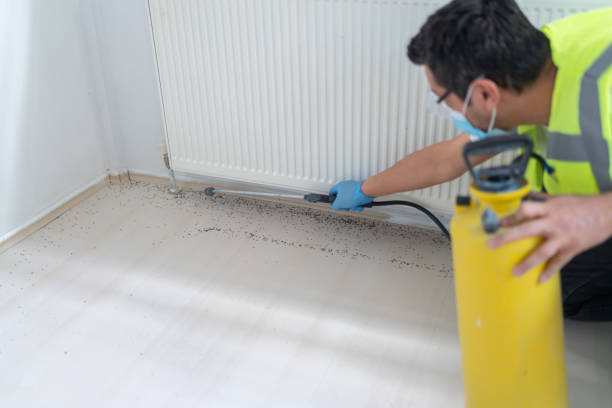 Best Bed Bug Extermination  in Oak Brook, IL