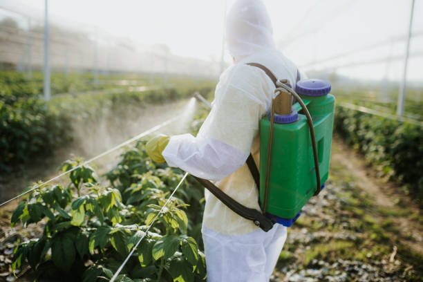 Best Pest Control Near Me  in Oak Brook, IL